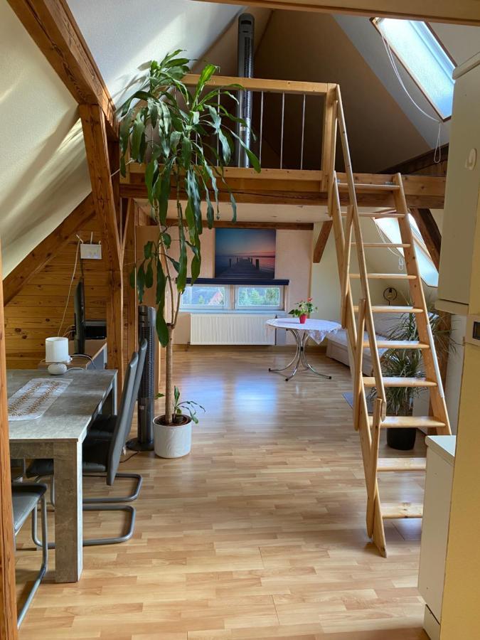 Helles Und Charmantes Loft Mit Herrlichem Blick Dresden Exteriör bild