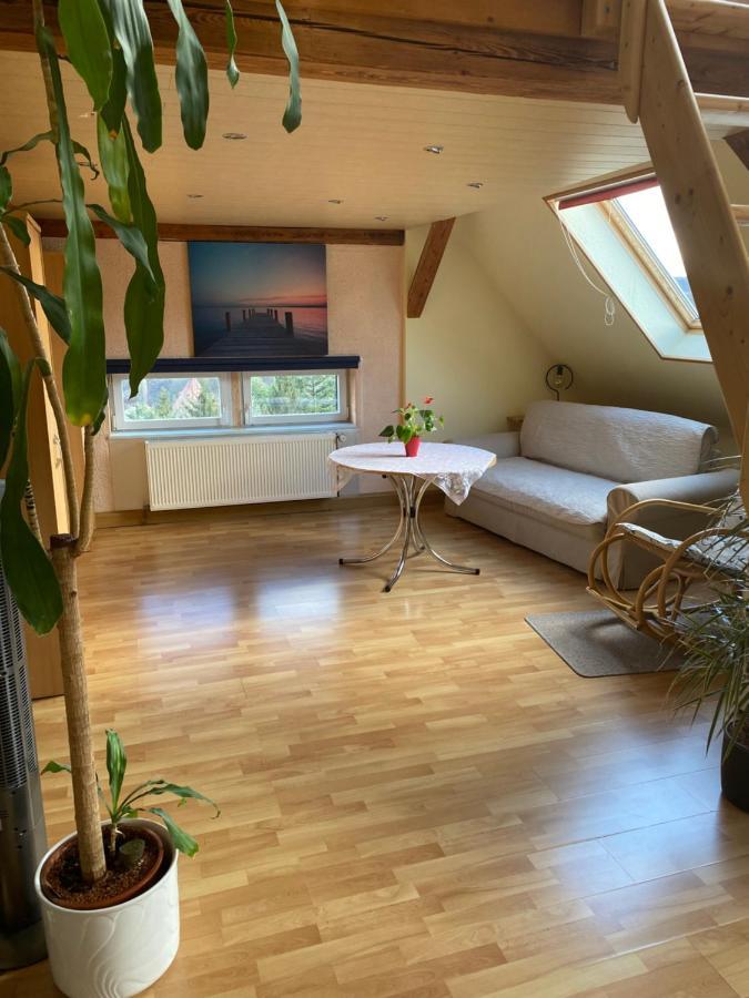 Helles Und Charmantes Loft Mit Herrlichem Blick Dresden Exteriör bild