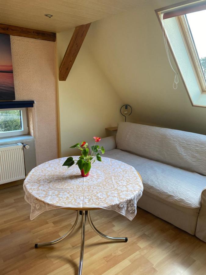 Helles Und Charmantes Loft Mit Herrlichem Blick Dresden Exteriör bild