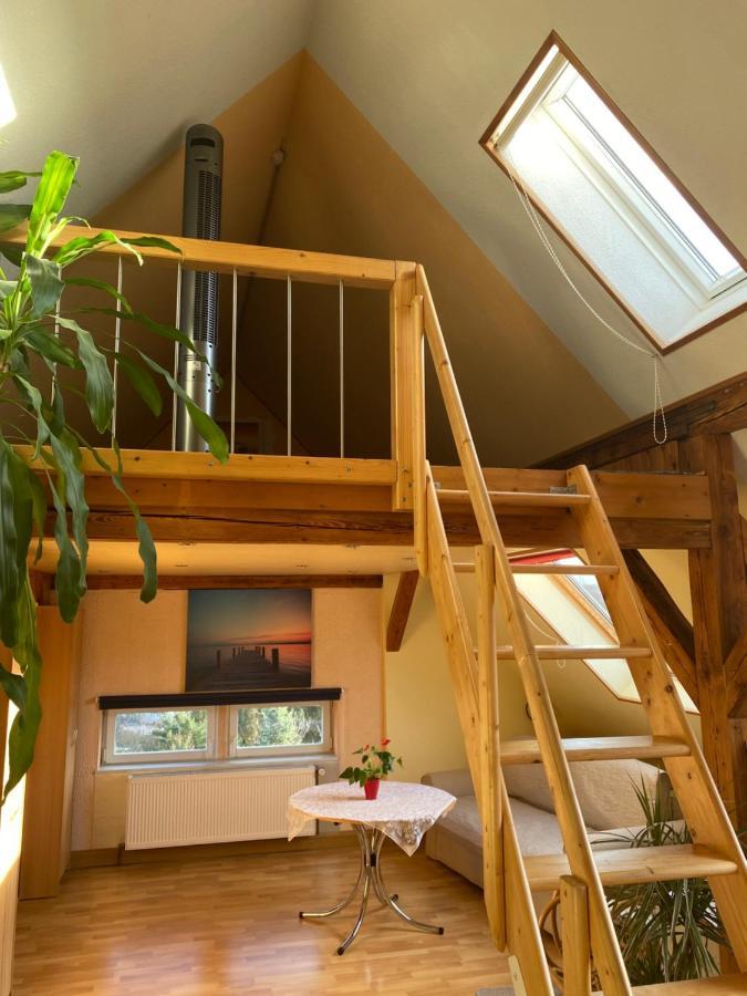 Helles Und Charmantes Loft Mit Herrlichem Blick Dresden Exteriör bild