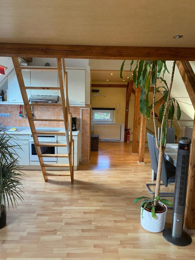 Helles Und Charmantes Loft Mit Herrlichem Blick Dresden Exteriör bild
